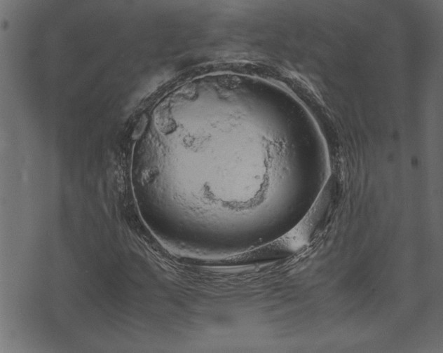 X0000071761159200606301123