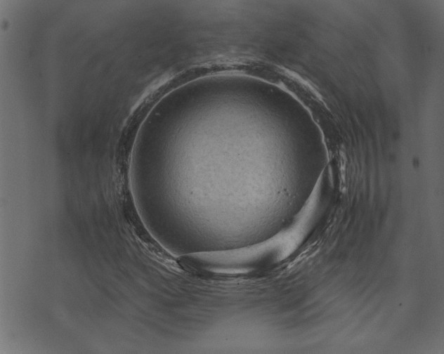 X0000071761160200606301123