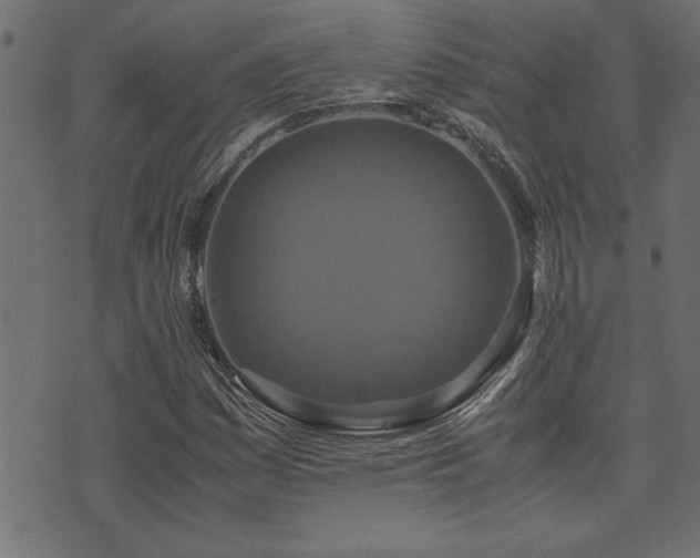 X0000071761161200606301123