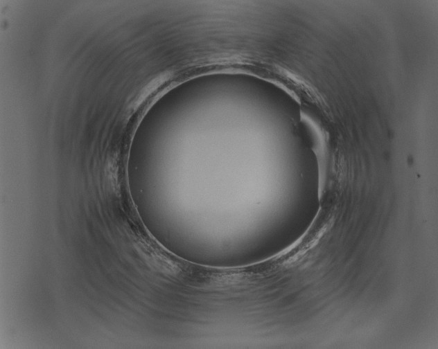 X0000071761162200606301123