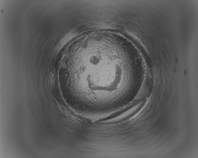 X0000071761163200606301123