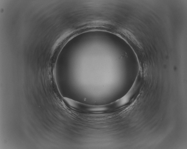 X0000071761164200606301123