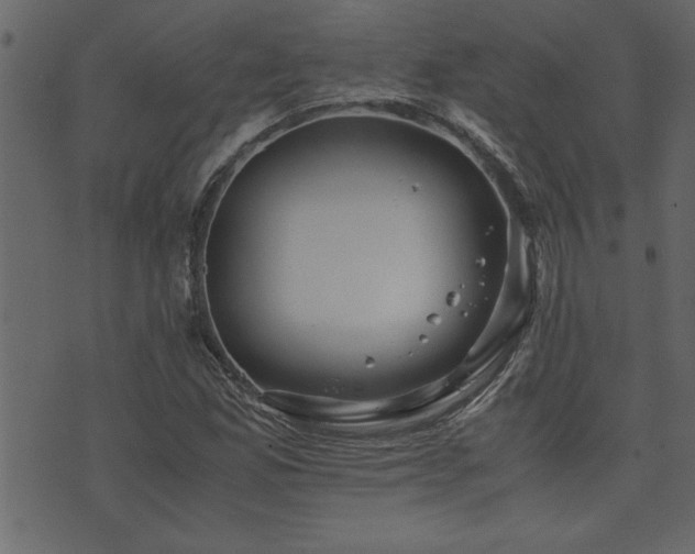 X0000071761165200606301123