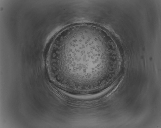 X0000071761167200606301123