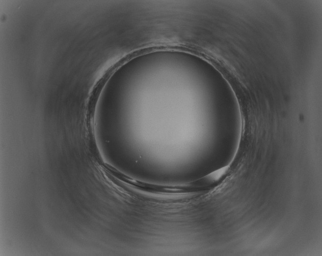 X0000071761168200606301123