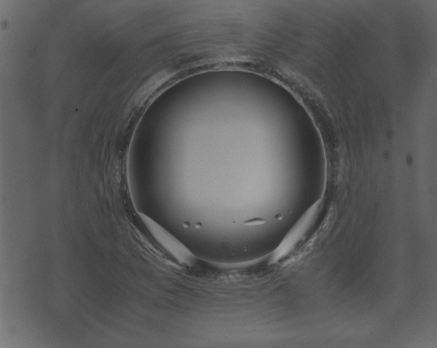 X0000071761169200606301123