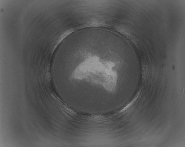 X0000071761170200606301123