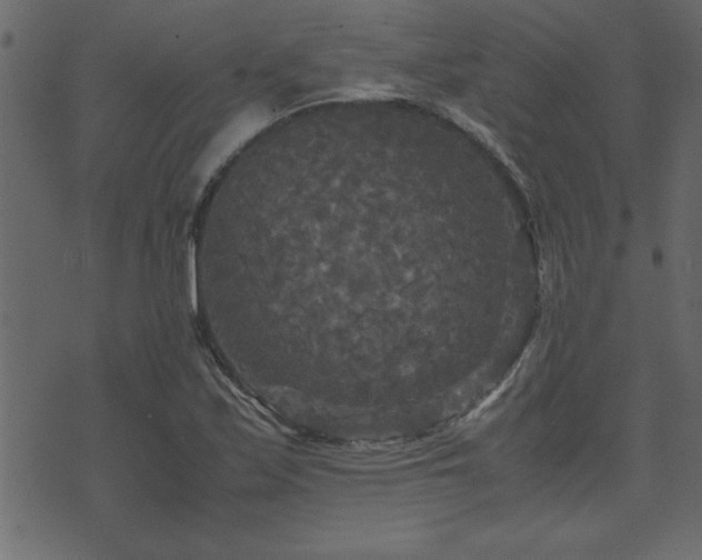 X0000071761171200606301123