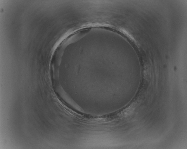 X0000071761173200606301123