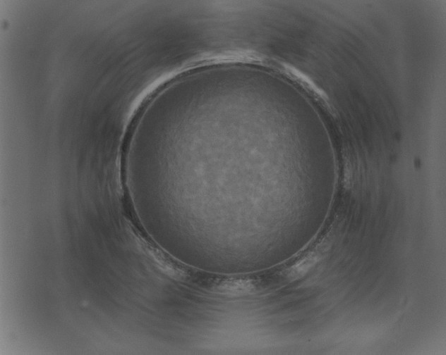 X0000071761174200606301123