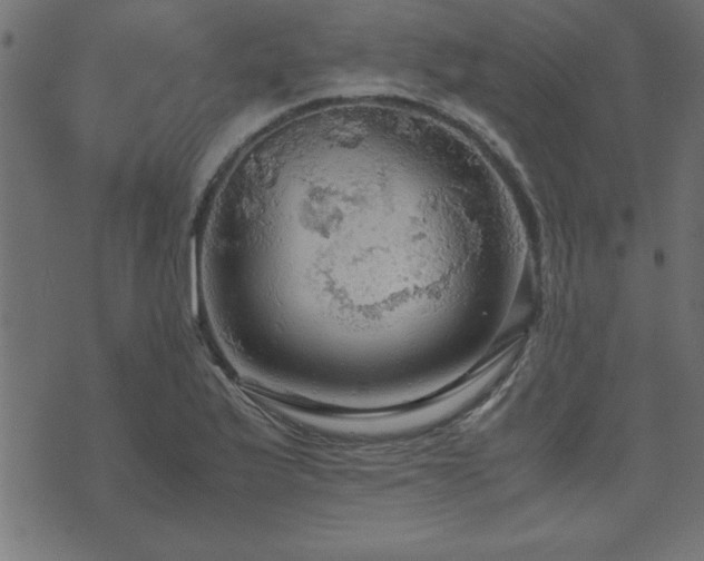 X0000071761175200606301123