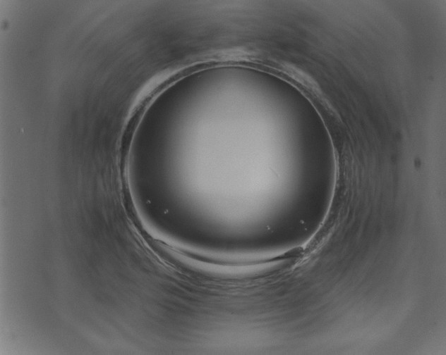 X0000071761176200606301123