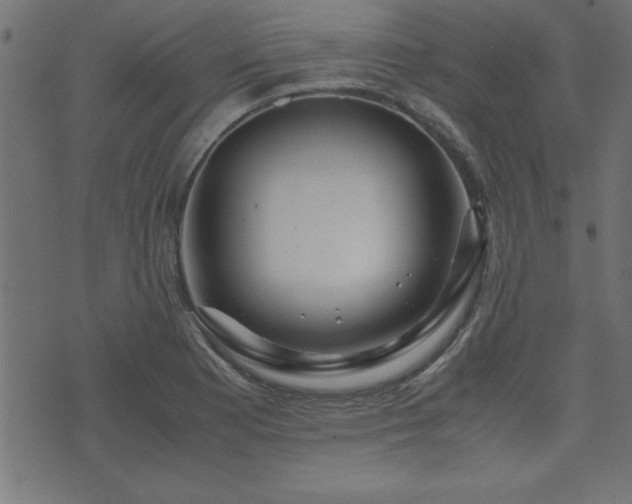 X0000071761177200606301123