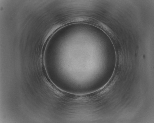 X0000071761178200606301123