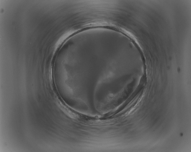 X0000071761179200606301123