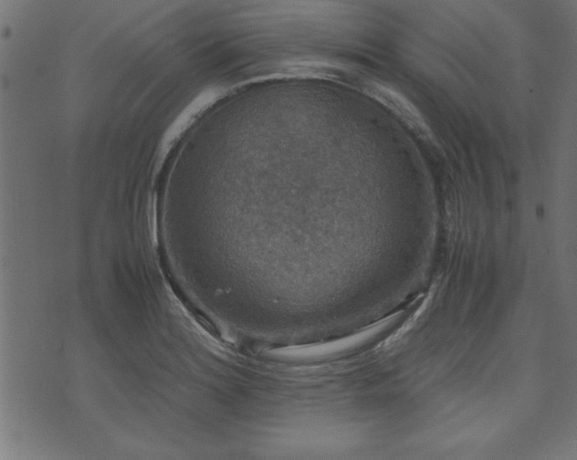 X0000071761180200606301123