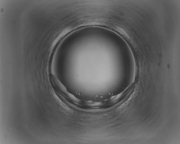 X0000071761181200606301123