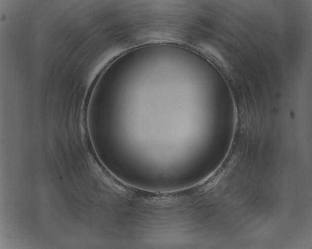 X0000071761182200606301123