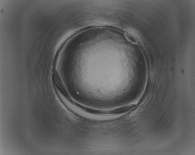 X0000071761183200606301123