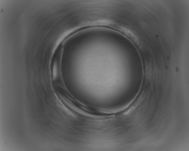 X0000071761184200606301123