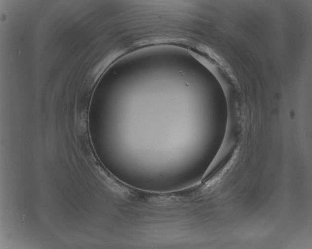 X0000071761185200606301123