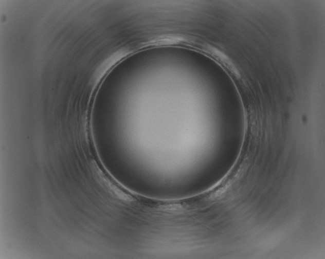 X0000071761186200606301123