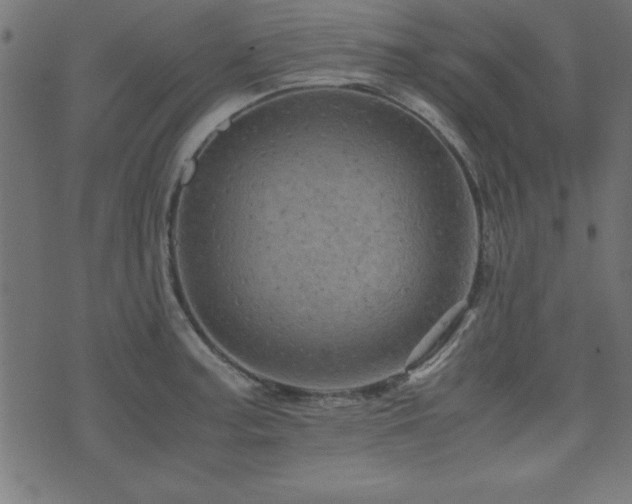 X0000071761187200606301123