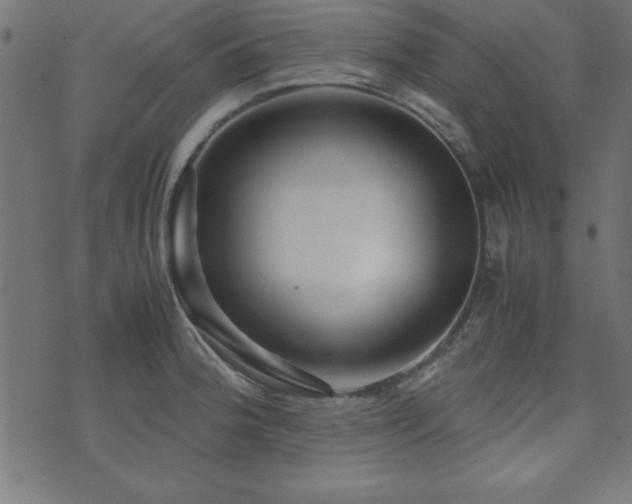 X0000071761188200606301123