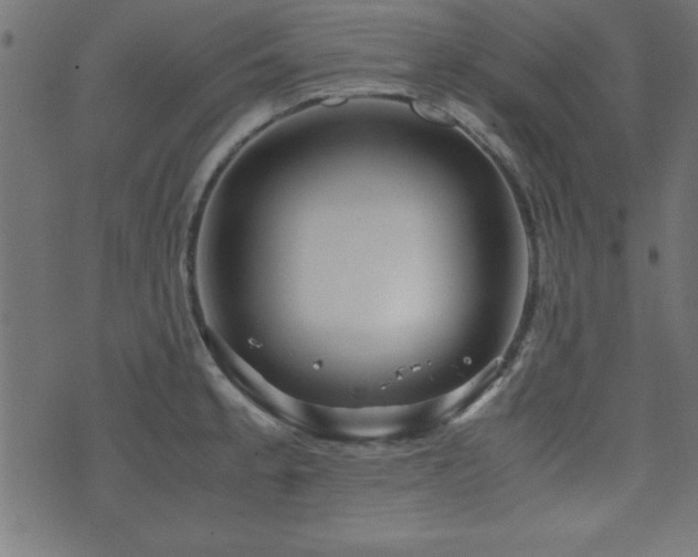 X0000071761189200606301123