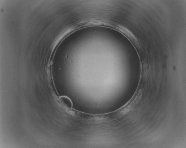 X0000071761190200606301123