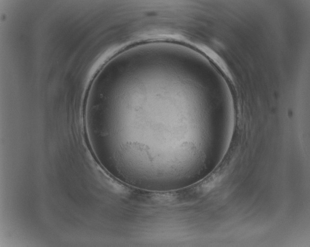 X0000071761191200606301123