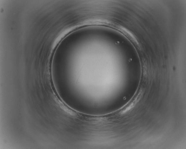 X0000071761192200606301122