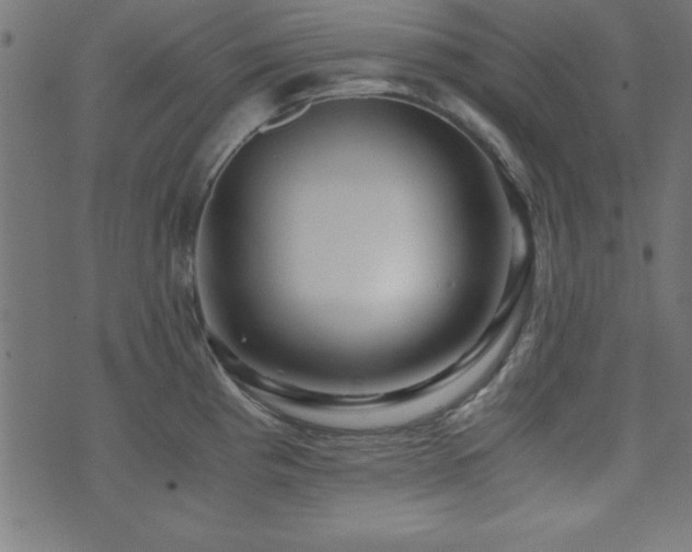 X0000071761193200606301122