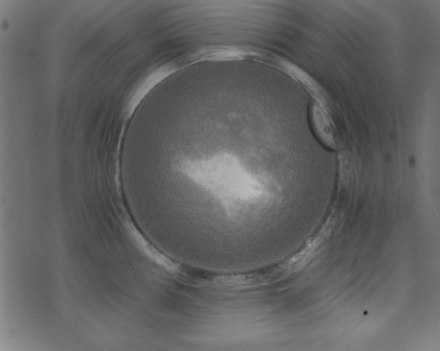 X0000071761194200606301122