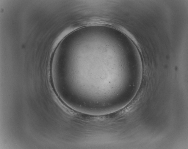 X0000071761195200606301122