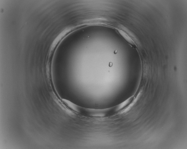 X0000071761196200606301122