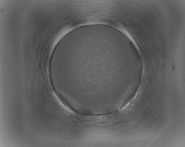 X0000071761197200606301122