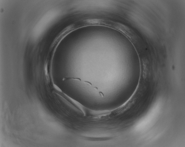 X0000071761198200606301122