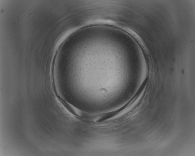 X0000071761199200606301122