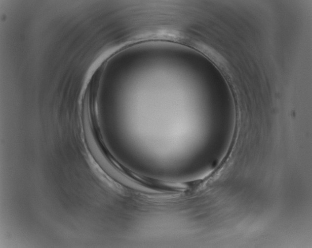 X0000071761200200606301122