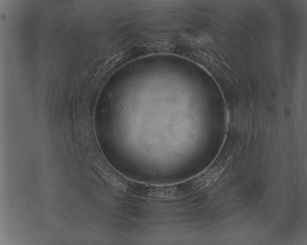 X0000071761201200606301122