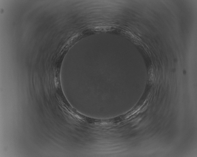 X0000071761202200606301122