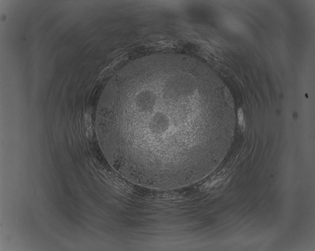 X0000071761203200606301122