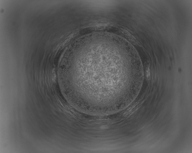 X0000071761204200606301122