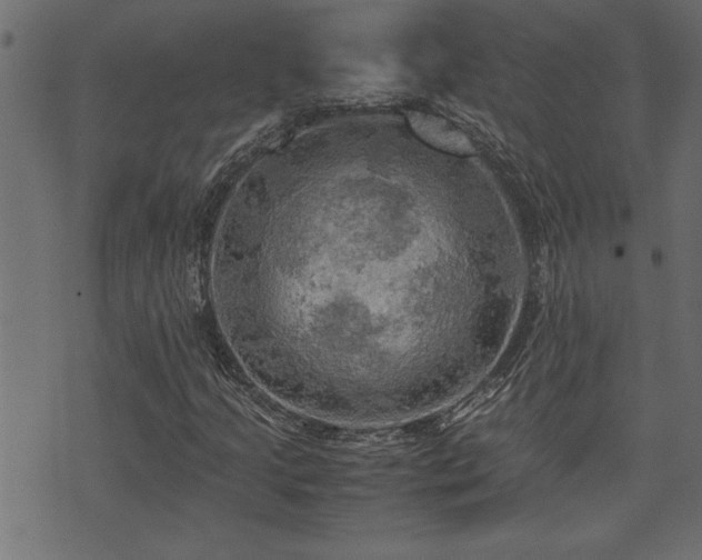 X0000071761205200606301122