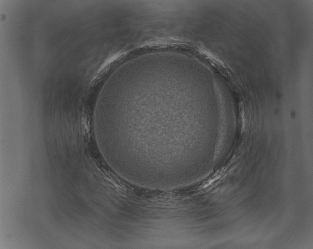 X0000071761206200606301122