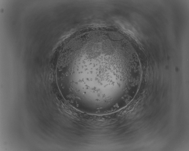 X0000071761207200606301122