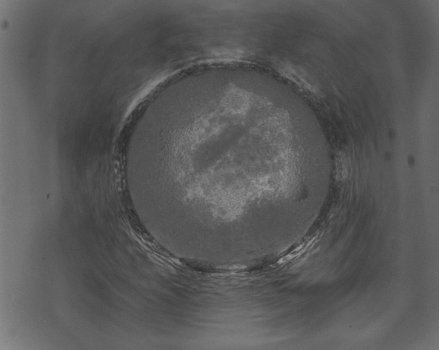 X0000071761208200606301122