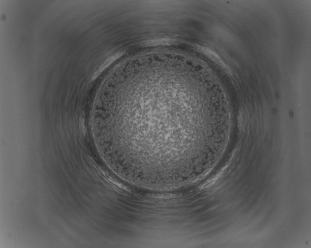 X0000071761209200606301122