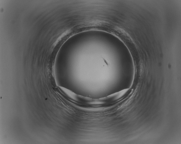 X0000071761210200606301122